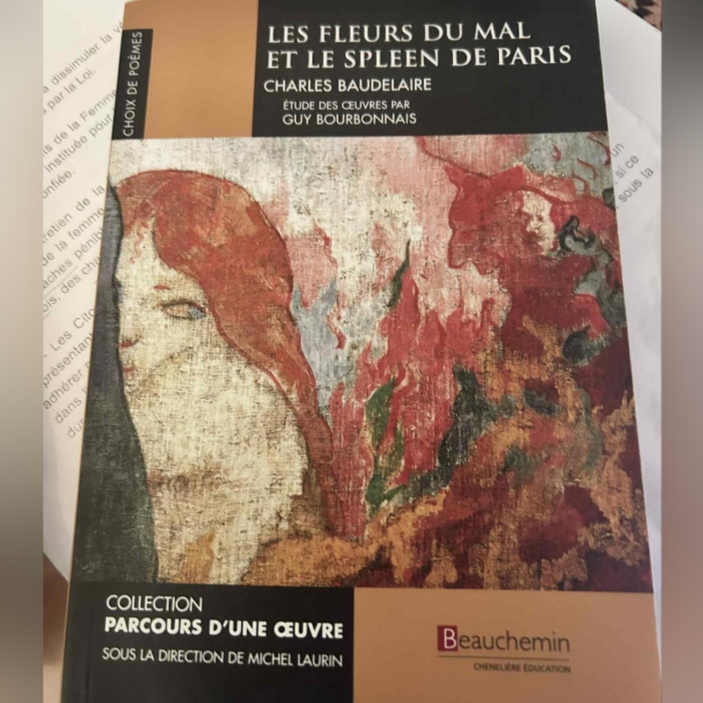 Les Fleurs du Mal et le Spleen de Paris Book - Multicolor